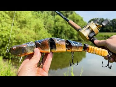 The POND Monster STOLE My Rod... Then I CAUGHT IT 6 HOURS LATER!!!