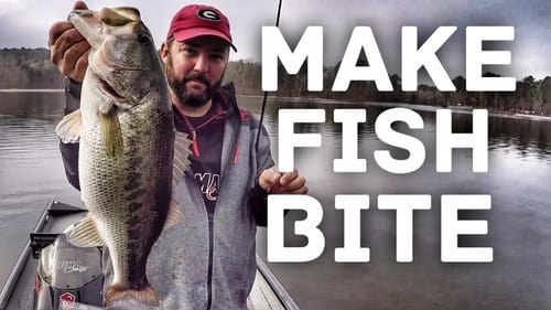 One of the Most Important things in Bass Fishing - How to Fish