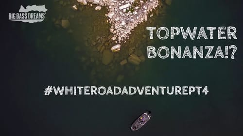 Topwater Explosions in Montana -White Road Adventure Part 4