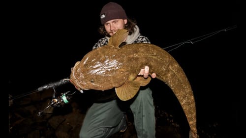 MASSIVE FLATHEAD! Estuary Fishing the Gold Coast, Australia - The all new CAST Echo!