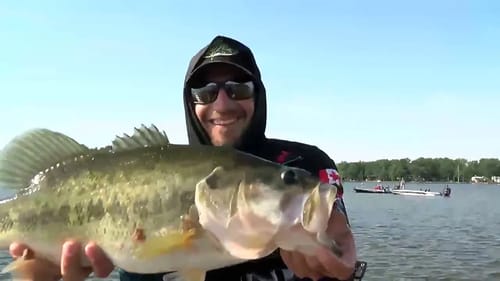 Jeff Gustafson's 7-10 Lake Fork Largemouth
