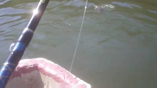 bass fishing fresno