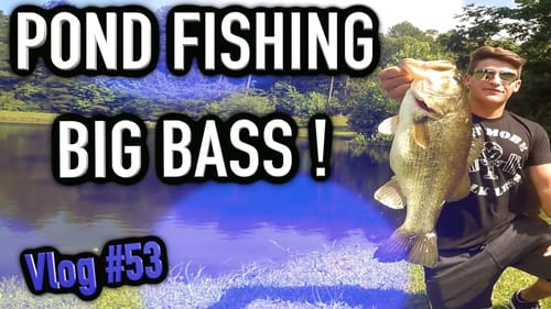 Pond Fishing / Pond Hopping for Big Bass ~ Vlog #53