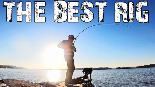 The BEST RIG During COLD MONTHS For BASS FISHING!! (Catch MORE)
