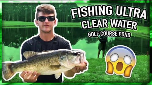 Ultra Clear Water Fishing - GOLF COURSE Pond Fishing