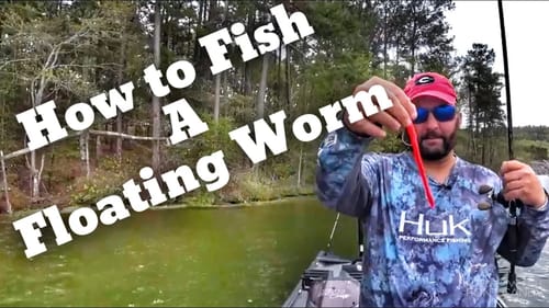 How to Fish a Floating Worm for Bass