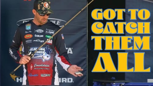 The BASS Moved...How Can I Catch Them NOW!?!?