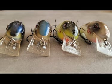 Fish These Five Lures In September | Bass Fishing