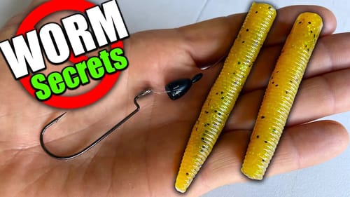The Texas Rigged Worm I WISH Someone Would Have Told me About!