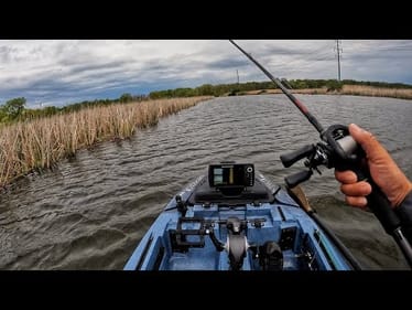The most Consistent bass fishery in the USA