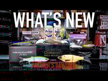 What's New This Week! Mother's Day Reel Deal, Favorite Son BENto Showdown, BOGO Deals And More!!