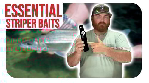 These Striper Baits Are CRUCIAL!