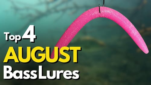 Top 4 August Bass Lures and WHY - Underwater Footage