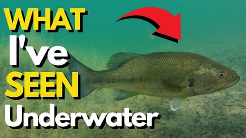This CHANGED the Way I Fish a Drop Shot