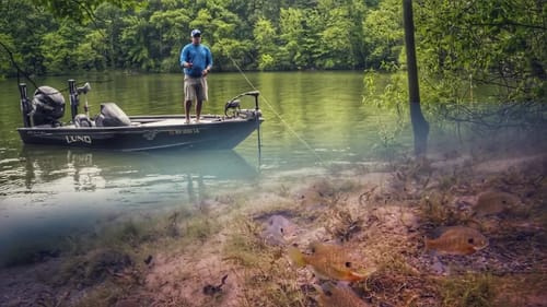 Why Finding Bluegills Can Lead to Better Bass Fishing