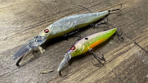 The Results Of My Jerkbait Size Experiment…