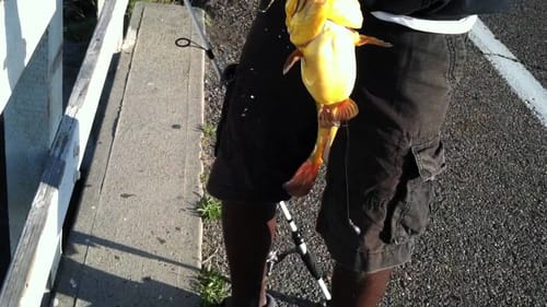 Fishing SoCal Spring Break
