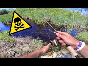 Fishing a TOXIC RIVER For Big Fish -- (Google Maps Fishing Challenge)