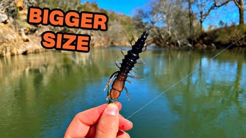 Surprising FIRST Catch on NEW Lure!!