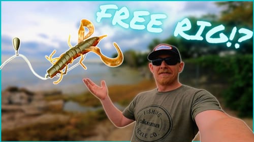 Have You Used The FREE RIG? Tips For BEGINNERS
