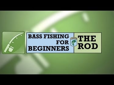 Bass Fishing for Beginners: The Rod