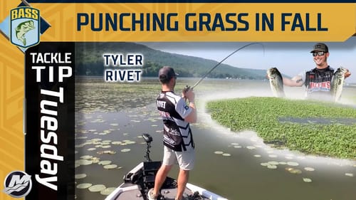 Punching matted grass before it gets cold