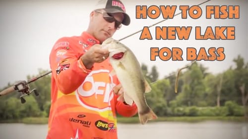 How to Fish a New Lake for Bass