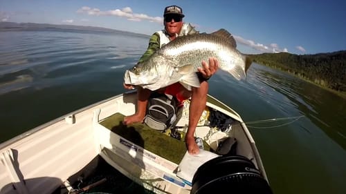 BARRAMUNDI FISHING (TOPWATER) - Cast Mag Reader Clips @puhaprince @jonesykillingit