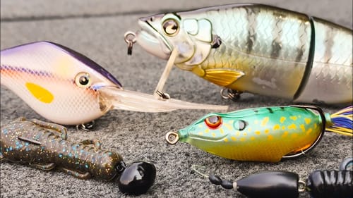 How To Catch Bass When Its HOT!