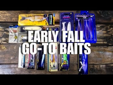 Best Fishing Lures for Fall Bass Fishing!  Our Top Six Lures for Early Fall!