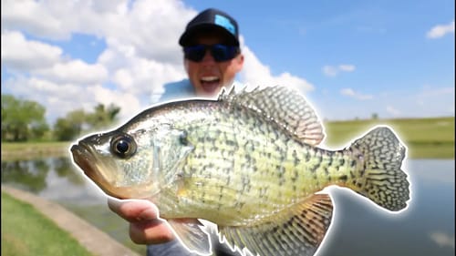 Catching GIANT CRAPPIE In Golf Course! Fishing With JIGS!