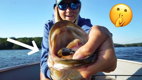 The EASIEST Way to Catch Fish!!?