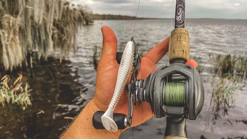 Catching BIG Fish out of the Grass