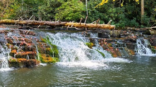 Waterfall Creek Fishing