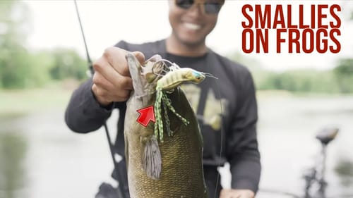 River Frog Fishing for Smallmouth Bass in Minnesota