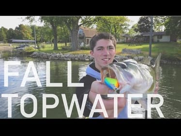 Fall Topwater Bass Fishing -- How To