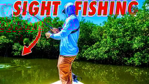Sight Casting Fish Hidden Deep in the Florida Mangroves