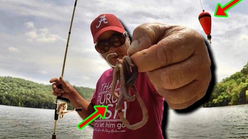 SIMPLE Way To Catch Catfish With WORMS & BOBBER