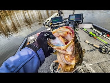GIANT WINTER BASS Crush JERKBAITS In COLD WATER!!!