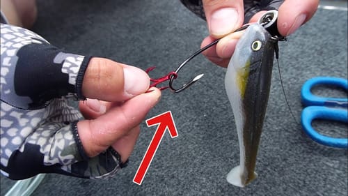 Downsizing to Catch Summertime Pike! (Tips)