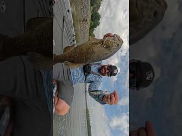 This Is Why Its Our Favorite Fall Bait! 🤯 #shorts