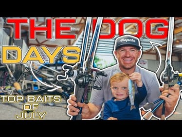 TOP BAITS of the MONTH ( July 2025 Edition 4K )