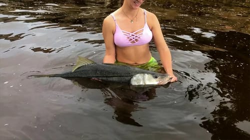 Catching a GIANT on Live Mullet