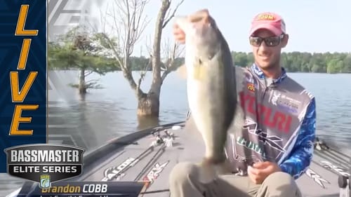 SANTEE COOPER: Cobb still catching them and in AOY lead