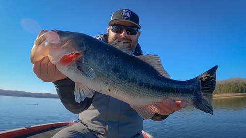 Cold Winter Bass Fishing: Tubes, Jigs, and Mega Live Sonar
