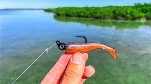 Sight Fishing Crystal Clear Flats With Swimbaits
