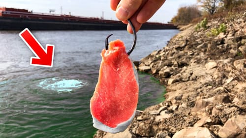 I DID NOT Want to Catch These Fish!!! (But I NEEDED Them!)