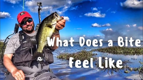 Bass Fishing - What a Bite Feels Like