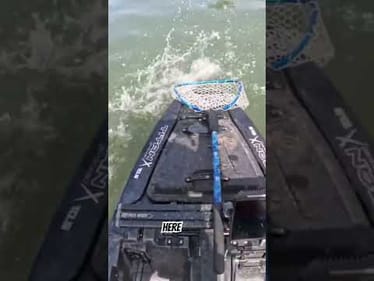 CHATTERBAIT STRIKES AGAIN #shorts #fishing #bassfishing
