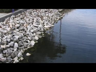3 Unknown Techniques For Wintertime Riprap Fishing